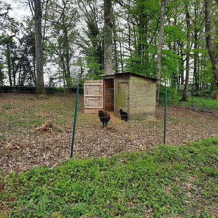 Maison De Campagne Au Calme Chuelles Zewnętrze zdjęcie