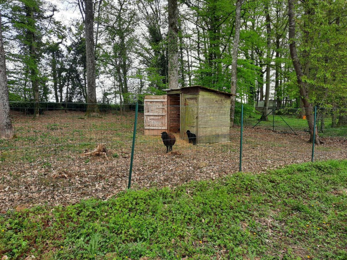 Maison De Campagne Au Calme Chuelles Zewnętrze zdjęcie